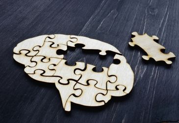A wooden jigsaw puzzle shaped like a human brain, with one piece missing and lying next to it on a dark wooden surface.